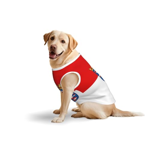 Hessische Flagge Hundekleidung für mittelgroße und große Hunde, weiche Baumwolle, Haustierkleidung für den täglichen Gebrauch, Spazierengehen, (Größe L, Blau, Gelb) von BOXILTD