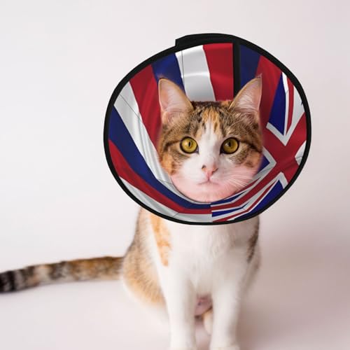Hundehalsband, Motiv: Flagge von Hawaii, weich, verstellbar, für Katzen, Kätzchen, Kaninchen, bequemes elisabethanisches Halsband Hundehalsband, Motiv: Flagge von Hawaii, weich, verstellbar, für Katzen, Kätzchen, Kaninchen, bequemes elisabethanisches Halsband von BOXILTD