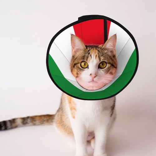 Hundehalsband Flagge von Nordrhein-Westfalen, weiches Hundehalsband, Depets verstellbar, Genesung, Haustier-Kegel, E-Halsband für Katzen, Kätzchen, Kaninchen, bequemes elisabethanisches Halsband Hundehalsband Flagge von Nordrhein-Westfalen, weiches Hundehalsband, Depets verstellbar, Genesung, Haustier-Kegel, E-Halsband für Katzen, Kätzchen, Kaninchen, bequemes elisabethanisches Halsband von BOXILTD
