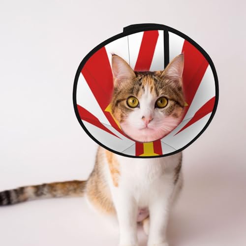 Hundehalsband mit Flagge der Guernsey Islands, weiches Hundehalsband, verstellbar, für Katzen, Kätzchen, Kaninchen, bequemes elisabethanisches Halsband Hundehalsband mit Flagge der Guernsey Islands, weiches Hundehalsband, verstellbar, für Katzen, Kätzchen, Kaninchen, bequemes elisabethanisches Halsband von BOXILTD
