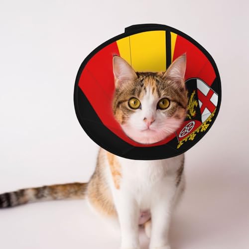 Hundehalsband mit Flagge des Bundesstaates Rheinland-Pfalz, weich, verstellbar, für Katzen, Kätzchen, Kaninchen, bequemes elisabethanisches Halsband Hundehalsband mit Flagge des Bundesstaates Rheinland-Pfalz, weich, verstellbar, für Katzen, Kätzchen, Kaninchen, bequemes elisabethanisches Halsband von BOXILTD
