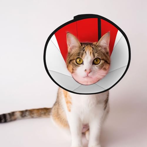 Hundehalsband mit Thüringen-Flagge, weich, verstellbar, für Katzen, Kätzchen, Kaninchen, bequemes elisabethanisches Halsband Hundehalsband mit Thüringen-Flagge, weich, verstellbar, für Katzen, Kätzchen, Kaninchen, bequemes elisabethanisches Halsband von BOXILTD