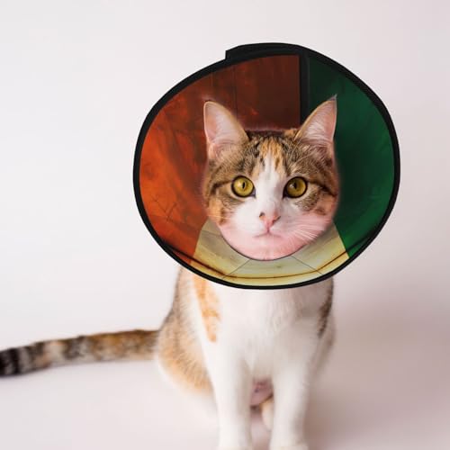 Hundehalsband mit irischer Flagge, weich, verstellbar, für Katzen, Kätzchen, Kaninchen, bequem, elisabethanisches Halsband von BOXILTD