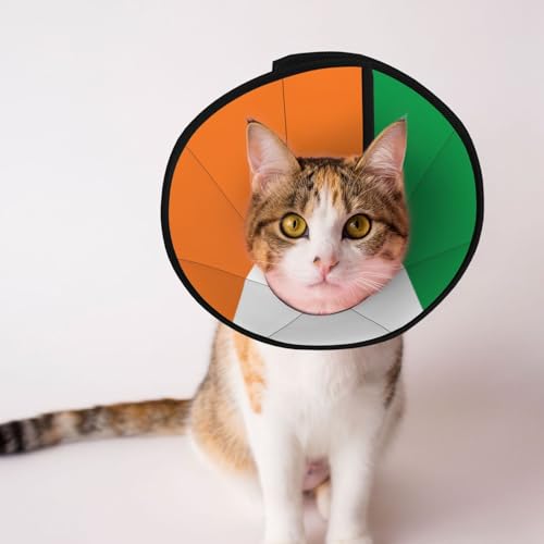 Hundehalsband mit irischer Flagge, weich, verstellbar, für Katzen, Kätzchen, Kaninchen, bequemes elisabethanisches Halsband Hundehalsband mit irischer Flagge, weich, verstellbar, für Katzen, Kätzchen, Kaninchen, bequemes elisabethanisches Halsband von BOXILTD