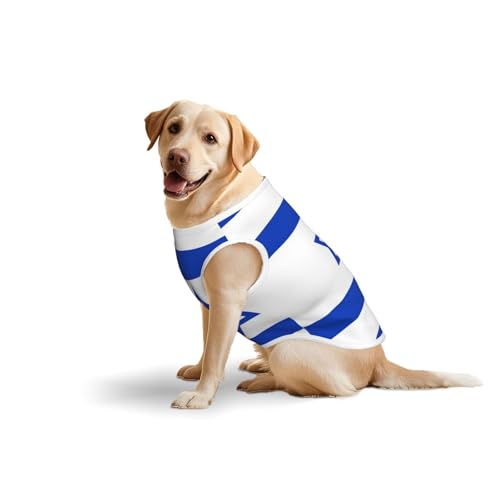 Hundekleidung mit israelischer Flagge für mittelgroße und große Hunde, weiche Baumwolle, Haustierkleidung für den täglichen Gebrauch, Spazierengehen, Größe L, Blau, Gelb Hundekleidung mit israelischer Flagge für mittelgroße und große Hunde, weiche Baumwolle, Haustierkleidung für den täglichen Gebrauch, Spazierengehen, Größe L, Blau, Gelb von BOXILTD