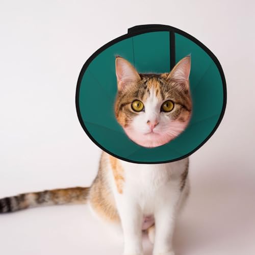 Natürliches grünes weiches Hundehalsband, Depets verstellbare Genesung, Haustier-Kegel, E-Halsband für Katzen, Kätzchen, Kaninchen, bequemes elisabethanisches Halsband Natürliches grünes weiches Hundehalsband, Depets verstellbare Genesung, Haustier-Kegel, E-Halsband für Katzen, Kätzchen, Kaninchen, bequemes elisabethanisches Halsband von BOXILTD