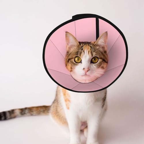Natürliches rosa weiches Hundehalsband, Depets verstellbare Genesung, Haustier-Kegel, E-Halsband für Katzen, Kätzchen, Kaninchen, bequemes elisabethanisches Halsband Natürliches rosa weiches Hundehalsband, Depets verstellbare Genesung, Haustier-Kegel, E-Halsband für Katzen, Kätzchen, Kaninchen, bequemes elisabethanisches Halsband von BOXILTD