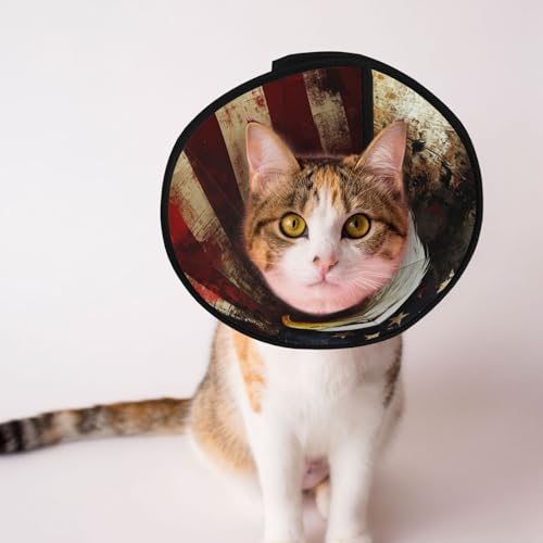 North American Eagle weiches Hundehalsband, Depets verstellbare Genesung, Haustier-Kegel, E-Halsband für Katzen, Kätzchen, Kaninchen, bequemes elisabethanisches Halsband North American Eagle weiches Hundehalsband, Depets verstellbare Genesung, Haustier-Kegel, E-Halsband für Katzen, Kätzchen, Kaninchen, bequemes elisabethanisches Halsband von BOXILTD