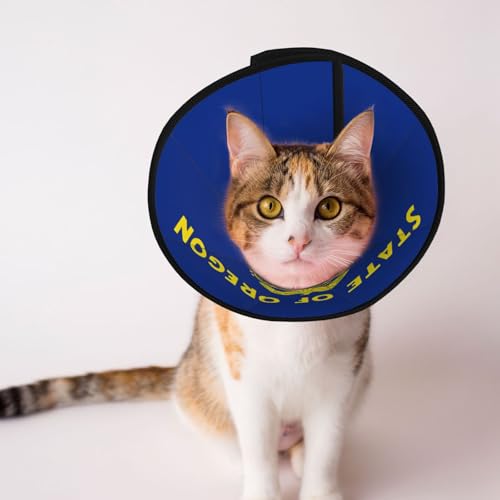 Oregon State Flag Weiches Hundehalsband, Depets Verstellbare Genesung Haustier Kegel E-Halsband für Katzen Kätzchen Kaninchen, bequemes elisabethanisches Halsband Oregon State Flag Weiches Hundehalsband, Depets Verstellbare Genesung Haustier Kegel E-Halsband für Katzen Kätzchen Kaninchen, bequemes elisabethanisches Halsband von BOXILTD