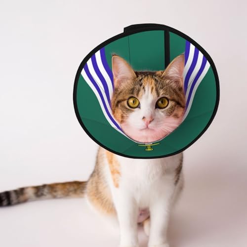 Peterborough Flagge, weiches Hundehalsband, Depets verstellbare Genesung, Haustierkegel, E-Halsband für Katzen, Kätzchen, Kaninchen, bequemes elisabethanisches Halsband Peterborough Flagge, weiches Hundehalsband, Depets verstellbare Genesung, Haustierkegel, E-Halsband für Katzen, Kätzchen, Kaninchen, bequemes elisabethanisches Halsband von BOXILTD