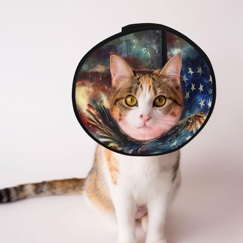 Soaring Eagle weiches Hundehalsband, Depets verstellbare Genesung, Haustier-Kegel, E-Halsband für Katzen, Kätzchen, Kaninchen, bequemes elisabethanisches Halsband Soaring Eagle weiches Hundehalsband, Depets verstellbare Genesung, Haustier-Kegel, E-Halsband für Katzen, Kätzchen, Kaninchen, bequemes elisabethanisches Halsband von BOXILTD