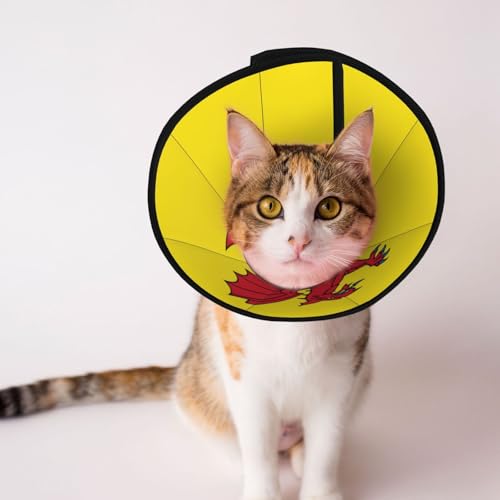 Somerset County Flagge, weiches Hundehalsband, Depets verstellbare Genesung, Haustier-Kegel, E-Halsband für Katzen, Kätzchen, Kaninchen, bequemes elisabethanisches Halsband Somerset County Flagge, weiches Hundehalsband, Depets verstellbare Genesung, Haustier-Kegel, E-Halsband für Katzen, Kätzchen, Kaninchen, bequemes elisabethanisches Halsband von BOXILTD