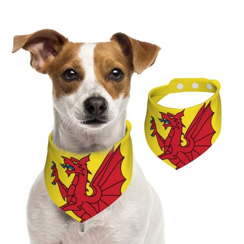 Somerset Hundehalstuch, Baumwolle, waschbar, Dreieckstuch für kleine, mittelgroße und große Hunde, Katzen, Schwarz Somerset Hundehalstuch, Baumwolle, waschbar, Dreieckstuch für kleine, mittelgroße und große Hunde, Katzen, Schwarz von BOXILTD