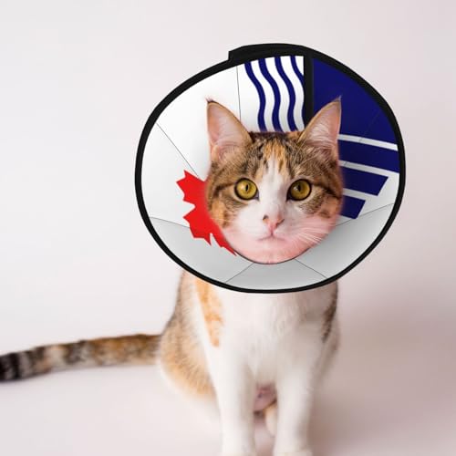 The Flag of Scarborough Hundehalsband, weich, verstellbar, für Katzen, Kätzchen, Kaninchen, bequemes elisabethanisches Halsband The Flag of Scarborough Hundehalsband, weich, verstellbar, für Katzen, Kätzchen, Kaninchen, bequemes elisabethanisches Halsband von BOXILTD