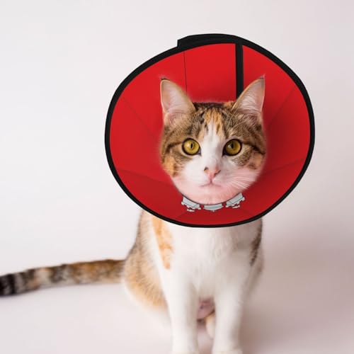 The Hamburg Flag Soft Dog Cone Collar, Depets Adjustable Recovery Pet Cone E-Halsband für Katzen, Kätzchen, Kaninchen, bequemes elisabethanisches Halsband The Hamburg Flag Soft Dog Cone Collar, Depets Adjustable Recovery Pet Cone E-Halsband für Katzen, Kätzchen, Kaninchen, bequemes elisabethanisches Halsband von BOXILTD