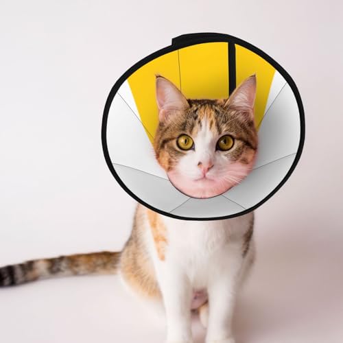 The Schlesische Flagge, weiches Hundehalsband, Depets verstellbare Genesung, Haustierkegel, E-Halsband für Katzen, Kätzchen, Kaninchen, bequemes elisabethanisches Halsband The Schlesische Flagge, weiches Hundehalsband, Depets verstellbare Genesung, Haustierkegel, E-Halsband für Katzen, Kätzchen, Kaninchen, bequemes elisabethanisches Halsband von BOXILTD