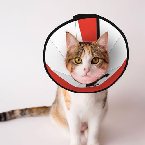 Weiches Hundehalsband mit Berliner Flagge, Depets verstellbare Genesung, Haustier-Kegel, E-Halsband für Katzen, Kätzchen, Kaninchen, bequemes elisabethanisches Halsband Weiches Hundehalsband mit Berliner Flagge, Depets verstellbare Genesung, Haustier-Kegel, E-Halsband für Katzen, Kätzchen, Kaninchen, bequemes elisabethanisches Halsband von BOXILTD