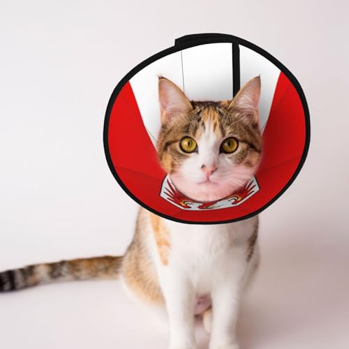 Weiches Hundehalsband mit Brandenburger Flagge, Depets, verstellbar, Genesung, Haustierkegel, E-Halsband für Katzen, Kätzchen, Kaninchen, bequemes elisabethanisches Halsband Weiches Hundehalsband mit Brandenburger Flagge, Depets, verstellbar, Genesung, Haustierkegel, E-Halsband für Katzen, Kätzchen, Kaninchen, bequemes elisabethanisches Halsband von BOXILTD