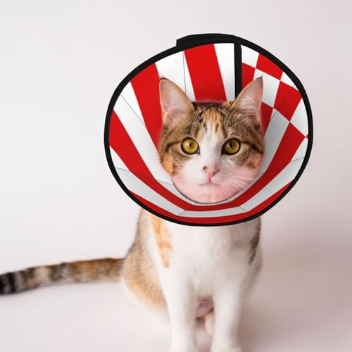 Weiches Hundehalsband mit Bremen-Flagge, Depets, verstellbar, Genesung, Haustier-Kegel, E-Halsband für Katzen, Kätzchen, Kaninchen, bequemes elisabethanisches Halsband Weiches Hundehalsband mit Bremen-Flagge, Depets, verstellbar, Genesung, Haustier-Kegel, E-Halsband für Katzen, Kätzchen, Kaninchen, bequemes elisabethanisches Halsband von BOXILTD