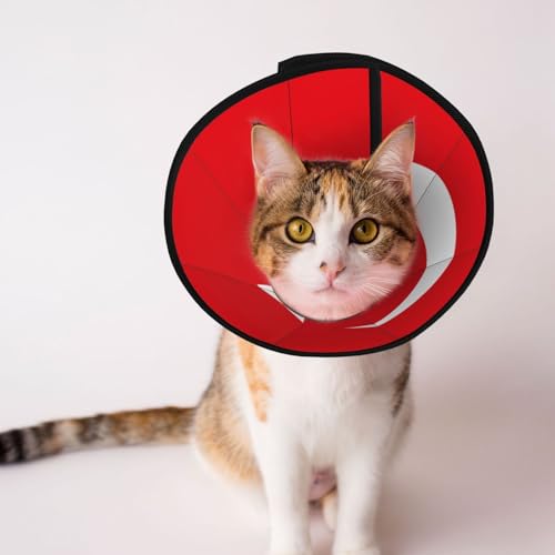 Weiches Hundehalsband mit Flagge der Türkei, Depets verstellbare Genesung, Haustier-Kegel, E-Halsband für Katzen, Kätzchen, Kaninchen, bequemes elisabethanisches Halsband Weiches Hundehalsband mit Flagge der Türkei, Depets verstellbare Genesung, Haustier-Kegel, E-Halsband für Katzen, Kätzchen, Kaninchen, bequemes elisabethanisches Halsband von BOXILTD