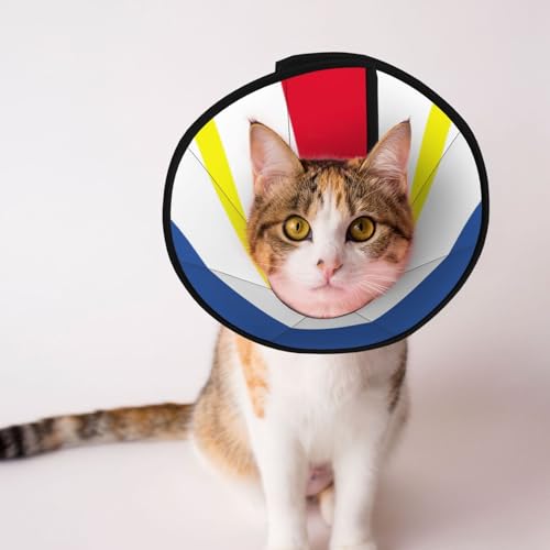 Weiches Hundehalsband mit Flagge des Kantons Mecklenburg, Depets verstellbar Genesung Haustier Kegel E-Halsband für Katzen Kätzchen Kaninchen, bequemes elisabethanisches Halsband Weiches Hundehalsband mit Flagge des Kantons Mecklenburg, Depets verstellbar Genesung Haustier Kegel E-Halsband für Katzen Kätzchen Kaninchen, bequemes elisabethanisches Halsband von BOXILTD