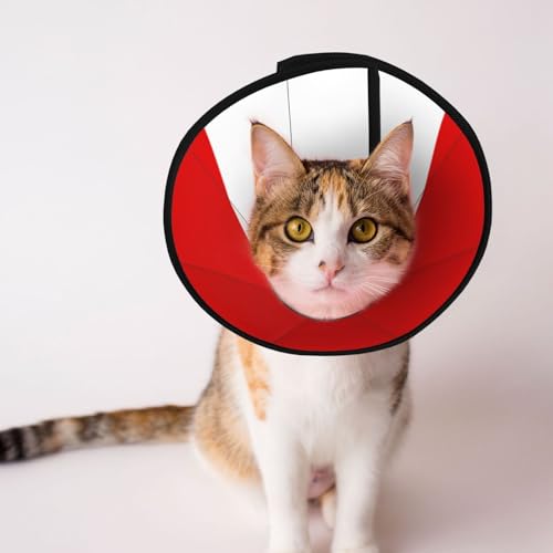 Weiches Hundehalsband mit Flagge von Hessen, Depets verstellbare Genesung, Haustier-Kegel, E-Halsband für Katzen, Kätzchen, Kaninchen, bequemes elisabethanisches Halsband Weiches Hundehalsband mit Flagge von Hessen, Depets verstellbare Genesung, Haustier-Kegel, E-Halsband für Katzen, Kätzchen, Kaninchen, bequemes elisabethanisches Halsband von BOXILTD