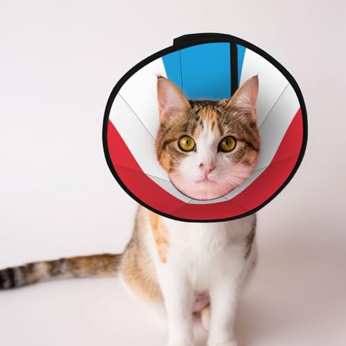 Weiches Hundehalsband mit Flagge von Luxemburg, Depets verstellbare Genesung, Haustier-Kegel, E-Halsband für Katzen, Kätzchen, Kaninchen, bequemes elisabethanisches Halsband Weiches Hundehalsband mit Flagge von Luxemburg, Depets verstellbare Genesung, Haustier-Kegel, E-Halsband für Katzen, Kätzchen, Kaninchen, bequemes elisabethanisches Halsband von BOXILTD