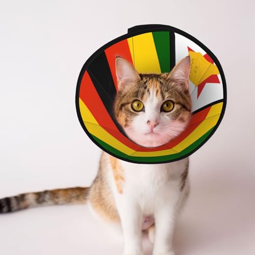 Weiches Hundehalsband mit Flagge von Simbabwe, Depets verstellbare Genesung, Haustier-Kegel, E-Halsband für Katzen, Kätzchen, Kaninchen, bequemes elisabethanisches Halsband Weiches Hundehalsband mit Flagge von Simbabwe, Depets verstellbare Genesung, Haustier-Kegel, E-Halsband für Katzen, Kätzchen, Kaninchen, bequemes elisabethanisches Halsband von BOXILTD