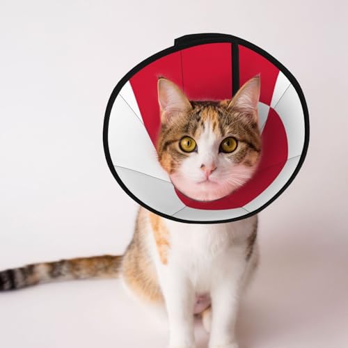 Weiches Hundehalsband mit Grönland-Flagge, Depets, verstellbar, für Katzen, Kätzchen, Kaninchen, bequemes elisabethanisches Halsband Weiches Hundehalsband mit Grönland-Flagge, Depets, verstellbar, für Katzen, Kätzchen, Kaninchen, bequemes elisabethanisches Halsband von BOXILTD