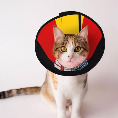 Weiches Hundehalsband mit Saarland-Flaggen, Depets verstellbare Genesung, Haustier-Kegel, E-Halsband für Katzen, Kätzchen, Kaninchen, bequemes elisabethanisches Halsband Weiches Hundehalsband mit Saarland-Flaggen, Depets verstellbare Genesung, Haustier-Kegel, E-Halsband für Katzen, Kätzchen, Kaninchen, bequemes elisabethanisches Halsband von BOXILTD