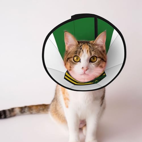 Weiches Hundehalsband mit Sachsen-Flagge, Depets verstellbare Genesung, Haustier-Kegel, E-Halsband für Katzen, Kätzchen, Kaninchen, bequemes elisabethanisches Halsband Weiches Hundehalsband mit Sachsen-Flagge, Depets verstellbare Genesung, Haustier-Kegel, E-Halsband für Katzen, Kätzchen, Kaninchen, bequemes elisabethanisches Halsband von BOXILTD