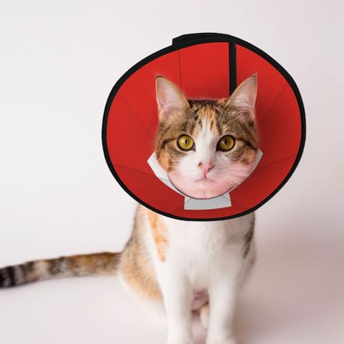 Weiches Hundehalsband mit Schweizer Flagge, Depets verstellbare Genesung, Haustier-Kegel, E-Halsband für Katzen, Kätzchen, Kaninchen, bequemes elisabethanisches Halsband Weiches Hundehalsband mit Schweizer Flagge, Depets verstellbare Genesung, Haustier-Kegel, E-Halsband für Katzen, Kätzchen, Kaninchen, bequemes elisabethanisches Halsband von BOXILTD