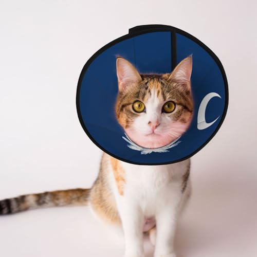 Weiches Hundehalsband mit South Carolina-Flagge, Depets, verstellbar, für Katzen, Kätzchen, Kaninchen, bequemes elisabethanisches Halsband Weiches Hundehalsband mit South Carolina-Flagge, Depets, verstellbar, für Katzen, Kätzchen, Kaninchen, bequemes elisabethanisches Halsband von BOXILTD