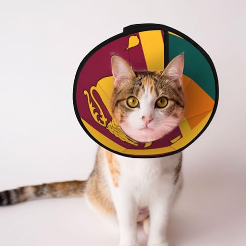 Weiches Hundehalsband mit Sri Lanka-Flagge, Depets verstellbare Genesung, Haustier-Kegel, E-Halsband für Katzen, Kätzchen, Kaninchen, bequemes elisabethanisches Halsband Weiches Hundehalsband mit Sri Lanka-Flagge, Depets verstellbare Genesung, Haustier-Kegel, E-Halsband für Katzen, Kätzchen, Kaninchen, bequemes elisabethanisches Halsband von BOXILTD