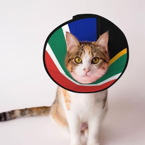 Weiches Hundehalsband mit Südafrika-Flagge, Depets, verstellbar, für Katzen, Kätzchen, Kaninchen, bequemes elisabethanisches Halsband Weiches Hundehalsband mit Südafrika-Flagge, Depets, verstellbar, für Katzen, Kätzchen, Kaninchen, bequemes elisabethanisches Halsband von BOXILTD