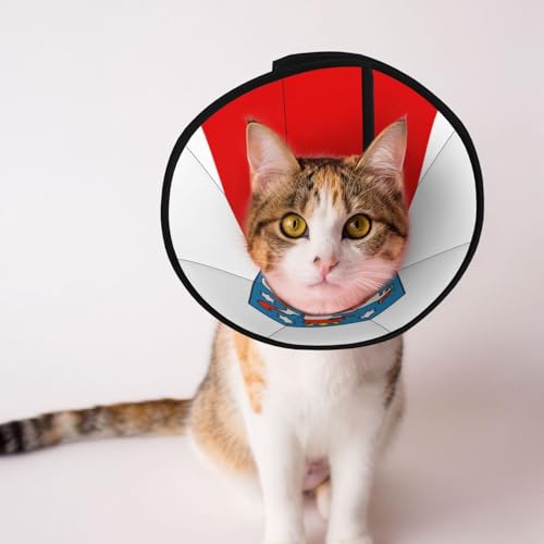 Weiches Hundehalsband mit Thüringen-Flagge, Depets, verstellbar, für Katzen, Kätzchen, Kaninchen, bequemes elisabethanisches Halsband von BOXILTD