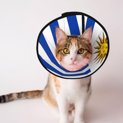 Weiches Hundehalsband mit Uruguay-Flagge, Depets, verstellbar, für Katzen, Kätzchen, Kaninchen, bequemes elisabethanisches Halsband Weiches Hundehalsband mit Uruguay-Flagge, Depets, verstellbar, für Katzen, Kätzchen, Kaninchen, bequemes elisabethanisches Halsband von BOXILTD