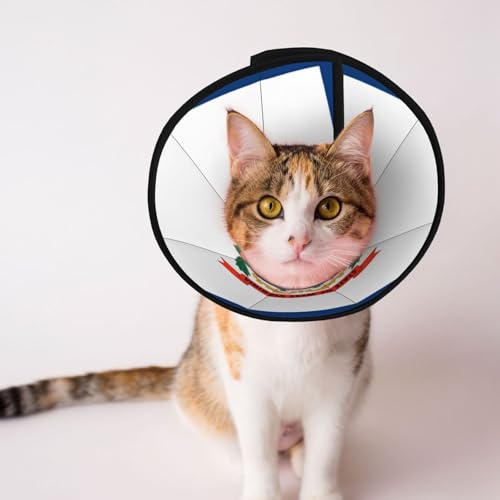 Weiches Hundehalsband mit West-Virginia-Flagge, Depets verstellbare Genesung, Haustier-Kegel, E-Halsband für Katzen, Kätzchen, Kaninchen, bequemes elisabethanisches Halsband Weiches Hundehalsband mit West-Virginia-Flagge, Depets verstellbare Genesung, Haustier-Kegel, E-Halsband für Katzen, Kätzchen, Kaninchen, bequemes elisabethanisches Halsband von BOXILTD