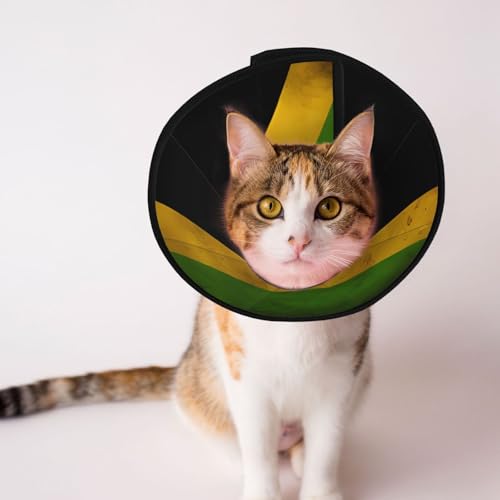 Weiches Hundehalsband mit alter jamaikanischer Flagge, Depets, verstellbar, für Katzen, Kätzchen, Kaninchen, bequemes elisabethanisches Halsband Weiches Hundehalsband mit alter jamaikanischer Flagge, Depets, verstellbar, für Katzen, Kätzchen, Kaninchen, bequemes elisabethanisches Halsband von BOXILTD