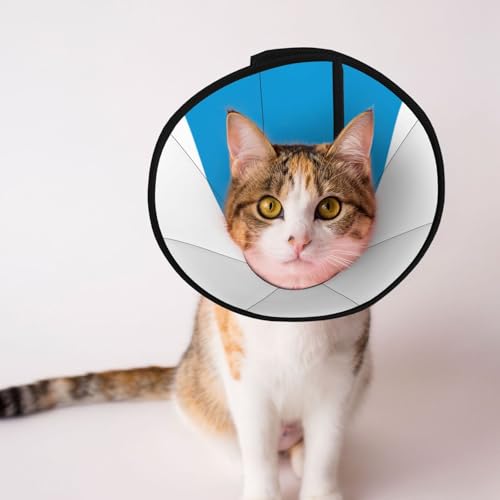 Weiches Hundehalsband mit bayerischer Flagge, Depets verstellbar, Genesung, Haustier-Kegel, E-Halsband für Katzen, Kätzchen, Kaninchen, bequemes elisabethanisches Halsband Weiches Hundehalsband mit bayerischer Flagge, Depets verstellbar, Genesung, Haustier-Kegel, E-Halsband für Katzen, Kätzchen, Kaninchen, bequemes elisabethanisches Halsband von BOXILTD