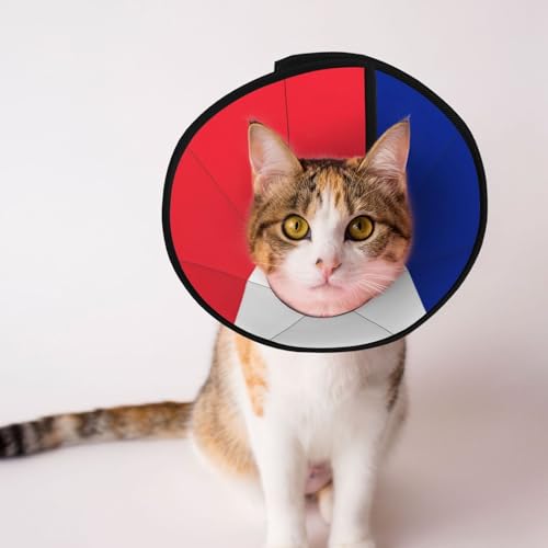 Weiches Hundehalsband mit französischer Flagge, Depets verstellbare Genesung, Haustier-Kegel, E-Halsband für Katzen, Kätzchen, Kaninchen, bequemes elisabethanisches Halsband Weiches Hundehalsband mit französischer Flagge, Depets verstellbare Genesung, Haustier-Kegel, E-Halsband für Katzen, Kätzchen, Kaninchen, bequemes elisabethanisches Halsband von BOXILTD