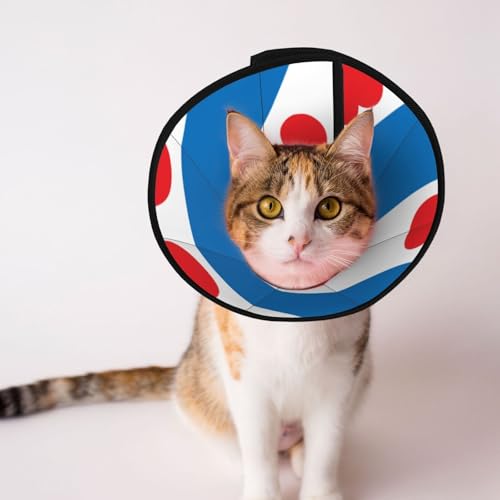 Weiches Hundehalsband mit friesischer Flagge, Depets verstellbar, Genesung, Haustier-Kegel, E-Halsband für Katzen, Kätzchen, Kaninchen, bequemes elisabethanisches Halsband Weiches Hundehalsband mit friesischer Flagge, Depets verstellbar, Genesung, Haustier-Kegel, E-Halsband für Katzen, Kätzchen, Kaninchen, bequemes elisabethanisches Halsband von BOXILTD