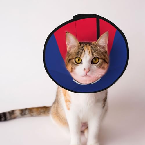Weiches Hundehalsband mit haitianischer Flagge, Depets, verstellbar, für Katzen, Kätzchen, Kaninchen, bequemes elisabethanisches Halsband Weiches Hundehalsband mit haitianischer Flagge, Depets, verstellbar, für Katzen, Kätzchen, Kaninchen, bequemes elisabethanisches Halsband von BOXILTD