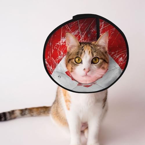 Weiches Hundehalsband mit kanadischer Flagge, Depets verstellbar, für Katzen, Kätzchen, Kaninchen, bequemes elisabethanisches Halsband Weiches Hundehalsband mit kanadischer Flagge, Depets verstellbar, für Katzen, Kätzchen, Kaninchen, bequemes elisabethanisches Halsband von BOXILTD