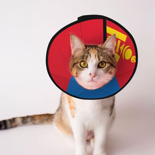 Weiches Hundehalsband mit mongolischer Flagge, Depets verstellbare Genesung, Haustierkegel, E-Halsband für Katzen, Kätzchen, Kaninchen, bequemes elisabethanisches Halsband Weiches Hundehalsband mit mongolischer Flagge, Depets verstellbare Genesung, Haustierkegel, E-Halsband für Katzen, Kätzchen, Kaninchen, bequemes elisabethanisches Halsband von BOXILTD