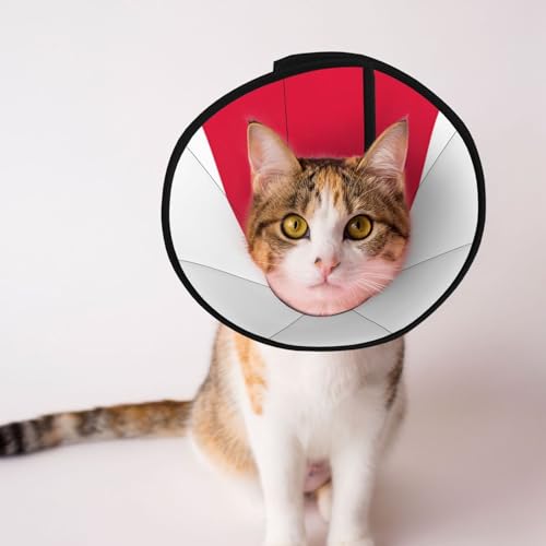 Weiches Hundehalsband mit polnischer Flagge, Depets, verstellbar, für Katzen, Kätzchen, Kaninchen, bequemes elisabethanisches Halsband Weiches Hundehalsband mit polnischer Flagge, Depets, verstellbar, für Katzen, Kätzchen, Kaninchen, bequemes elisabethanisches Halsband von BOXILTD