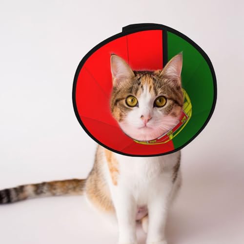 Weiches Hundehalsband mit portugiesischer Flagge, Depets verstellbare Genesung, Haustierkegel, E-Halsband für Katzen, Kätzchen, Kaninchen, bequemes elisabethanisches Halsband Weiches Hundehalsband mit portugiesischer Flagge, Depets verstellbare Genesung, Haustierkegel, E-Halsband für Katzen, Kätzchen, Kaninchen, bequemes elisabethanisches Halsband von BOXILTD