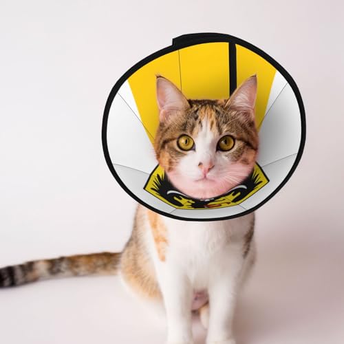 Weiches Hundehalsband mit schlesischer Flagge, Depets verstellbare Genesung, Haustierkegel, E-Halsband für Katzen, Kätzchen, Kaninchen, bequemes elisabethanisches Halsband Weiches Hundehalsband mit schlesischer Flagge, Depets verstellbare Genesung, Haustierkegel, E-Halsband für Katzen, Kätzchen, Kaninchen, bequemes elisabethanisches Halsband von BOXILTD