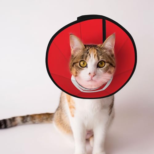 Weiches Hundehalsband mit tunesischer Flagge, Depets verstellbare Genesung, Haustierkegel, E-Halsband für Katzen, Kätzchen, Kaninchen, bequemes elisabethanisches Halsband Weiches Hundehalsband mit tunesischer Flagge, Depets verstellbare Genesung, Haustierkegel, E-Halsband für Katzen, Kätzchen, Kaninchen, bequemes elisabethanisches Halsband von BOXILTD