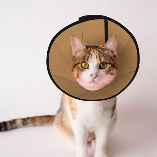 Weiches Hundehalsband von Depets, verstellbar, für Katzen, Kätzchen, Kaninchen, bequem, elisabethanisches Halsband, Braun Weiches Hundehalsband von Depets, verstellbar, für Katzen, Kätzchen, Kaninchen, bequem, elisabethanisches Halsband, Braun von BOXILTD